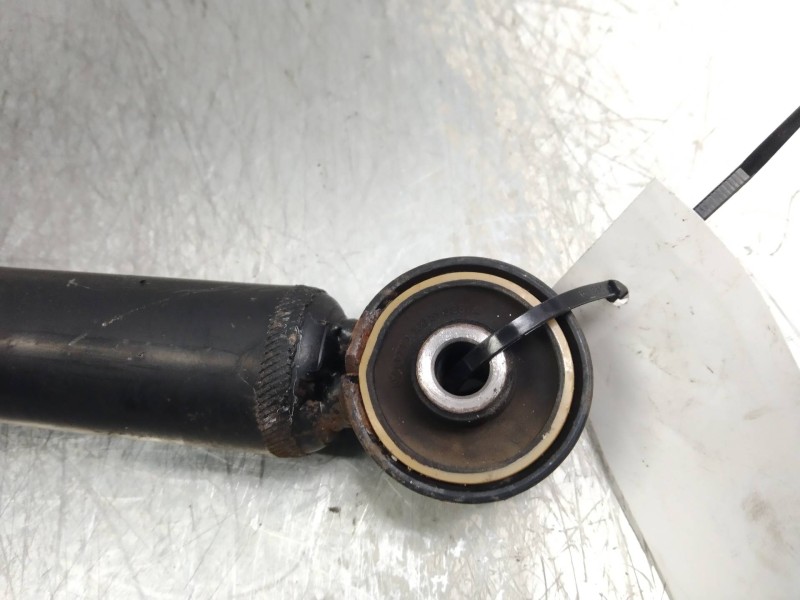 Recambio de amortiguador trasero para volkswagen bora berlina (1j2) trendline referencia OEM IAM   