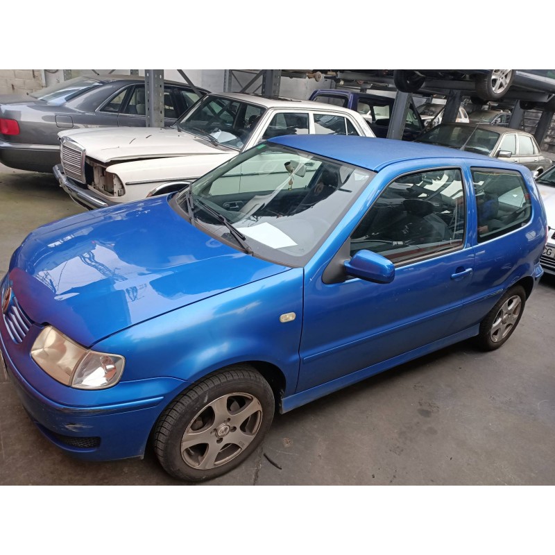 Polo berlina online