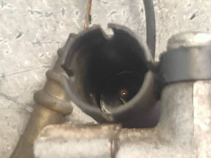 Recambio de compresor aire acondicionado para bmw serie 3 berlina (e46) 320d referencia OEM IAM 6452690564306 A4101130A021 