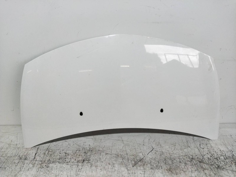 Recambio de capot para renault clio iii authentique referencia OEM IAM   