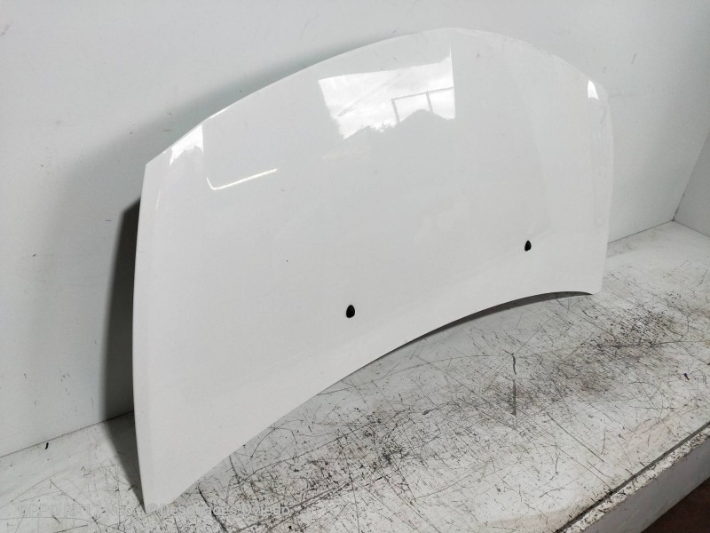 Recambio de capot para renault clio iii authentique referencia OEM IAM   