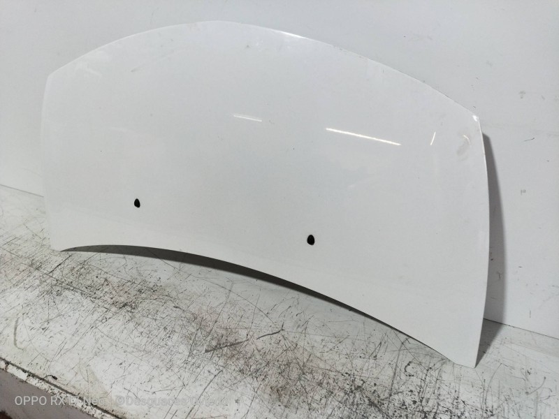 Recambio de capot para renault clio iii authentique referencia OEM IAM   
