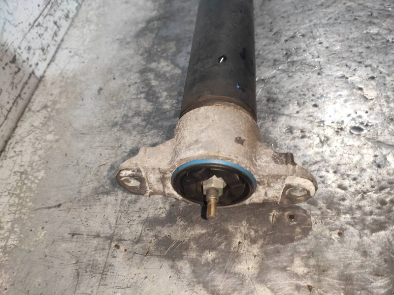 Recambio de amortiguador trasero derecho para ford focus lim. (cb8) titanium referencia OEM IAM BV6118080AAE  