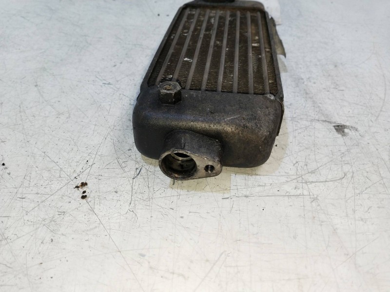 Recambio de radiador aceite para fiat punto berl. (176) 1.7 turbodiesel referencia OEM IAM   