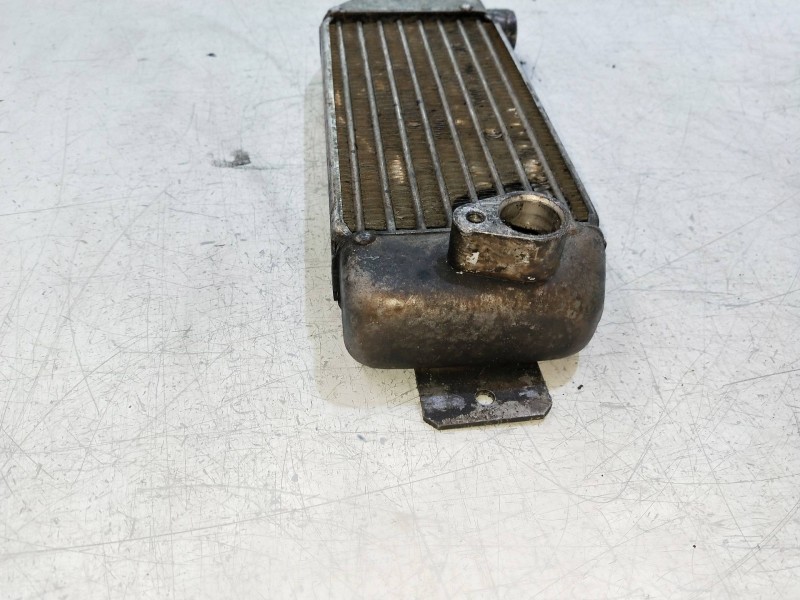 Recambio de radiador aceite para fiat punto berl. (176) 1.4 cat referencia OEM IAM    Recambio de radiador aceite para fiat punto berl. (176) 1.4 cat referencia OEM IAM