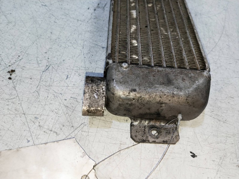 Recambio de radiador aceite para fiat punto berl. (176) 1.4 cat referencia OEM IAM    Recambio de radiador aceite para fiat punto berl. (176) 1.4 cat referencia OEM IAM
