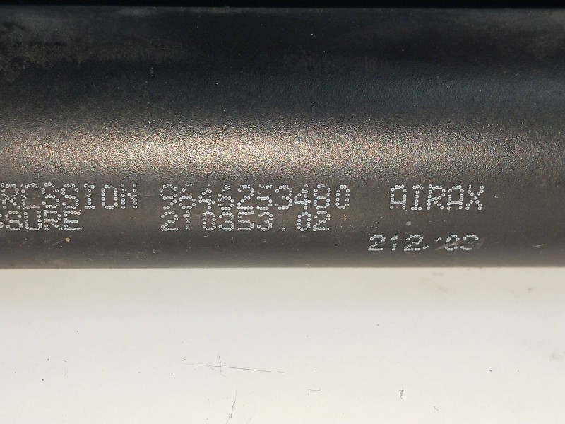 Recambio de amortiguadores maletero / porton para citroen c3 pluriel 1.6 16v cat (nfu / tu5jp4) referencia OEM IAM 9646253480  