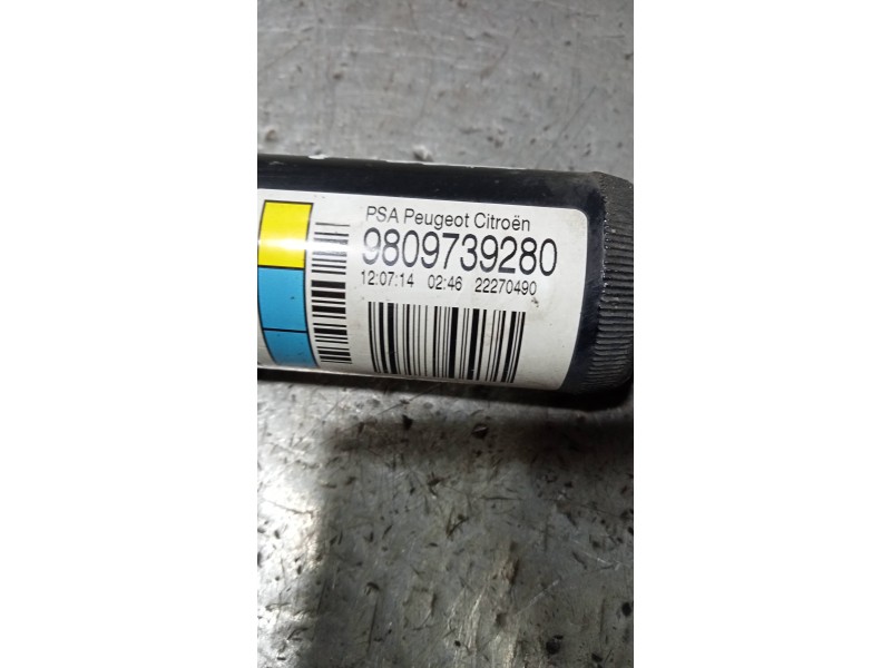 Recambio de amortiguador trasero derecho para citroen c4 cactus 1.6 blue-hdi fap referencia OEM IAM 9809739280 22270490 