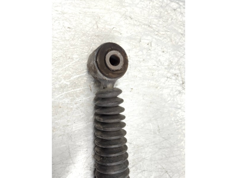 Recambio de amortiguador trasero para peugeot expert tepee 2.0 hdi cat (rhk / dw10uted4) referencia OEM IAM   