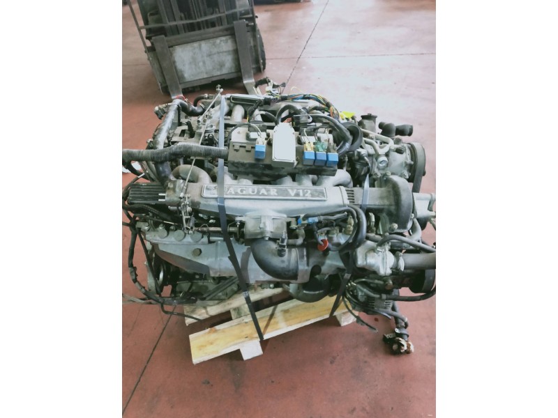 Recambio de motor completo para jaguar xjs/xjsc/xjr-s 5.3 cat referencia OEM IAM EL254 8D10111SG 