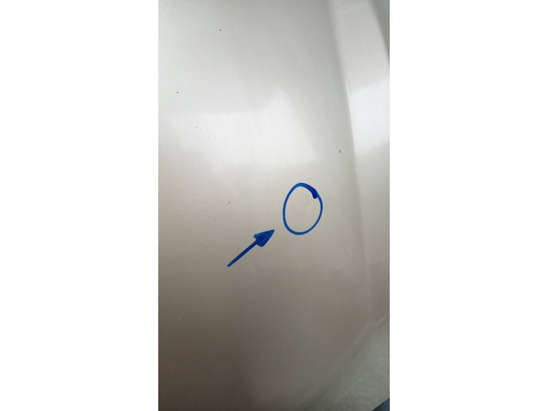 Recambio de capot para ssangyong rodius xdi referencia OEM IAM   