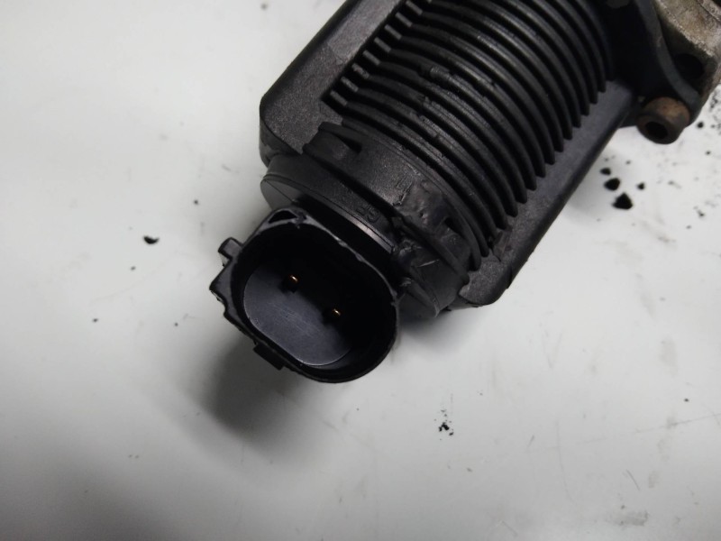 Recambio de valvula egr para fiat panda (169) 1.3 jtd cat referencia OEM IAM 71789046  