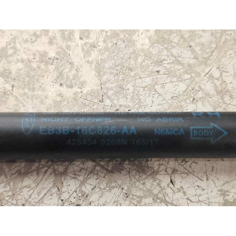 Recambio de amortiguadores capo para ford ranger (tke) doppelkabine 4x4 xlt referencia OEM IAM EB3B16C827AA 426151 