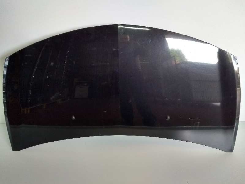 Recambio de capot para renault clio iii exception referencia OEM IAM   