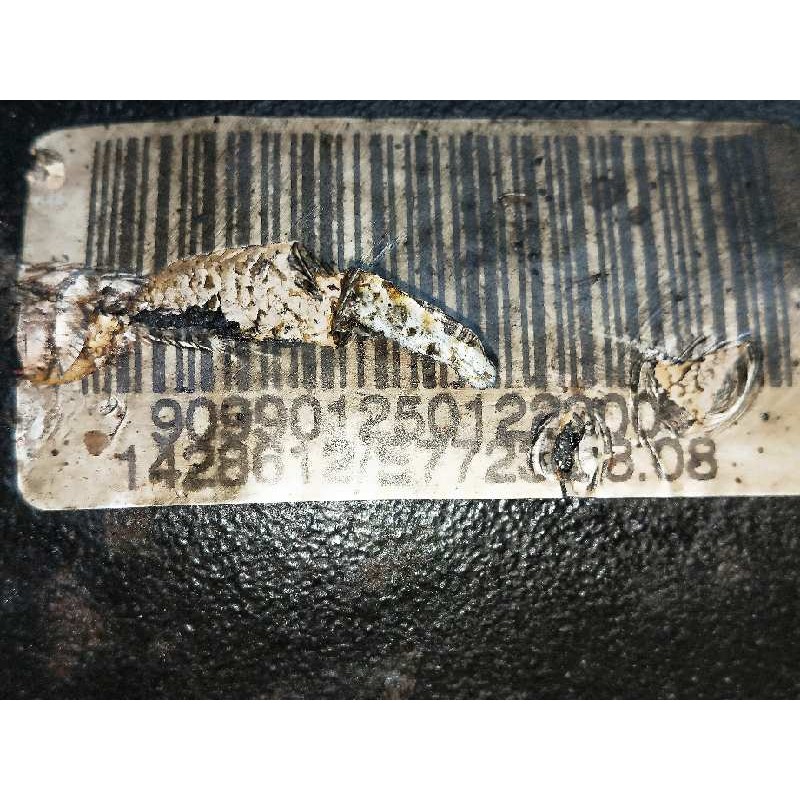 Recambio de diferencial trasero para bmw serie 7 (e38) 3.0 24v turbodiesel cat referencia OEM IAM 14288350 1428612 3.08