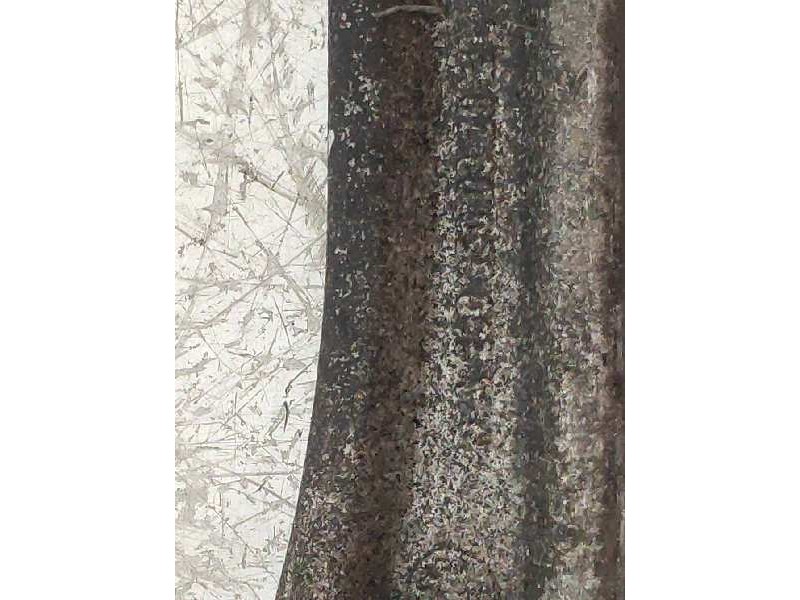 Recambio de tirante trasero izquierdo para mercedes clase sl (w230) roadster 500 (230.475) referencia OEM IAM A2303500320  