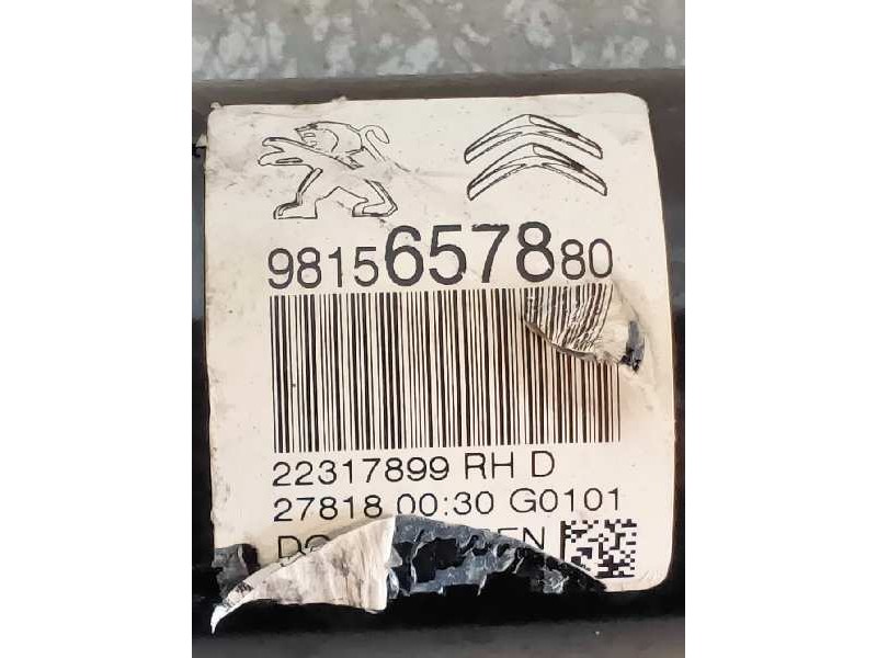 Recambio de amortiguador delantero derecho para citroen c3 elle referencia OEM IAM 9815657880  