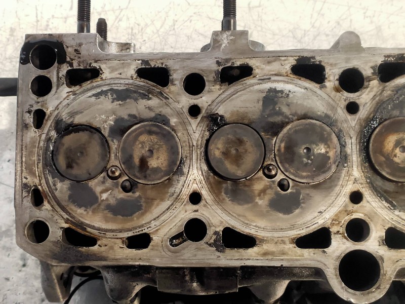 Recambio de culata para volkswagen polo berlina (6n2) 1.9 sdi referencia OEM IAM ASX  