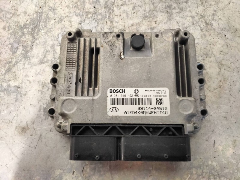 Recambio de centralita motor uce para kia cee´d drive referencia OEM IAM 0281016492 391142A510 BOSCH