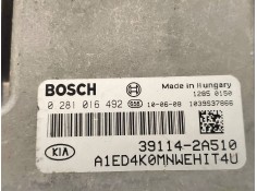 Recambio de centralita motor uce para kia cee´d drive referencia OEM IAM 0281016492 391142A510 BOSCH 2