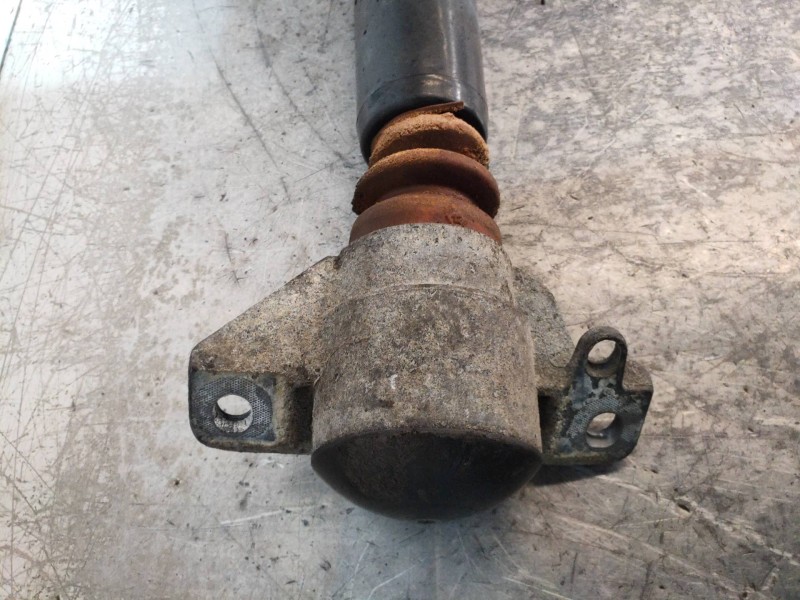 Recambio de amortiguador trasero derecho para audi a5 coupe (8t) 3.0 tdi quattro referencia OEM IAM 8T0513035L  