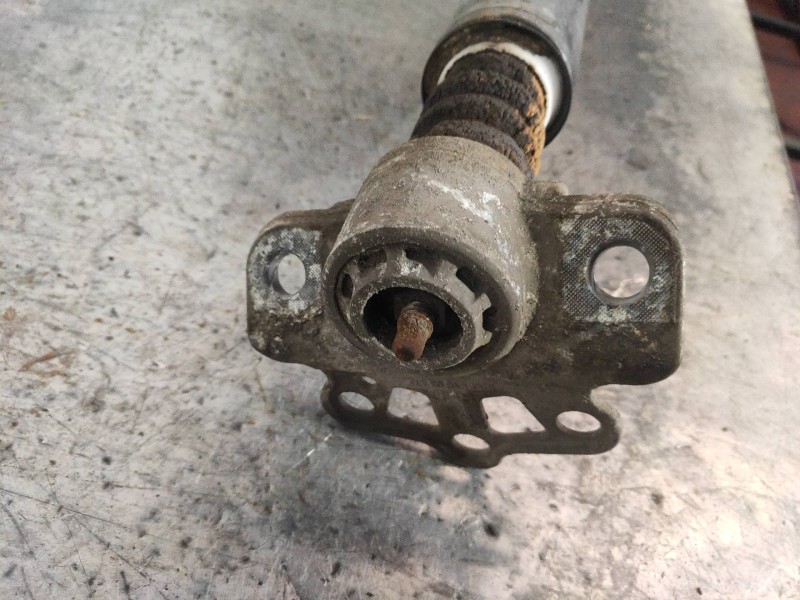 Recambio de amortiguador trasero derecho para fiat punto (evo) (199) emotion referencia OEM IAM 55700452  