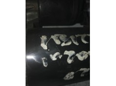 Recambio de motor arranque para seat ibiza (6l1) cupra referencia OEM IAM 001121008 BOSCH  2