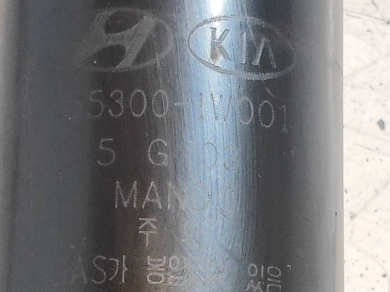 Recambio de amortiguador trasero izquierdo para kia rio 1.2 cat referencia OEM IAM 553001W001  