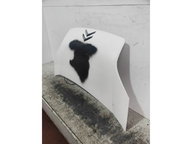 Recambio de capot para citroen nemo 1.3 hdi fap referencia OEM IAM   