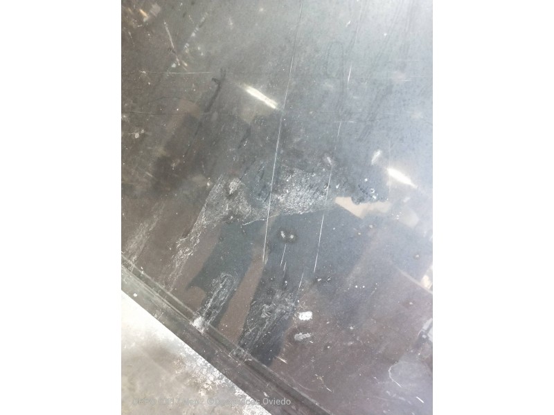 Recambio de capot para nissan navara pick-up (d40m) double cab le 4x4 referencia OEM IAM   