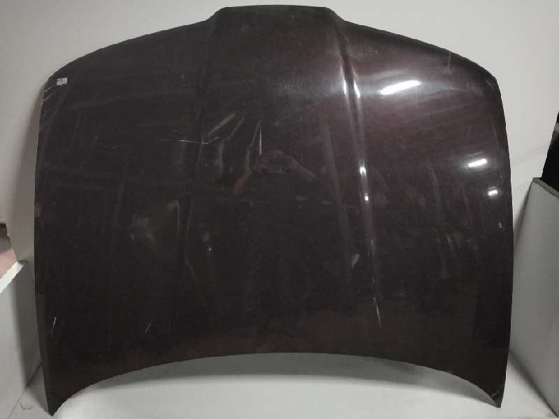 Recambio de capot para chrysler vision (lh) 3.5 cat referencia OEM IAM   