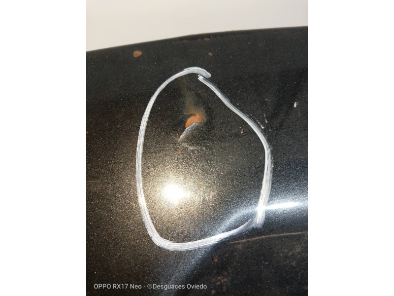 Recambio de capot para land rover range rover (lp) dse (100kw) referencia OEM IAM   