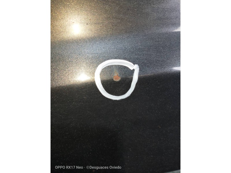 Recambio de capot para land rover range rover (lp) dse (100kw) referencia OEM IAM   