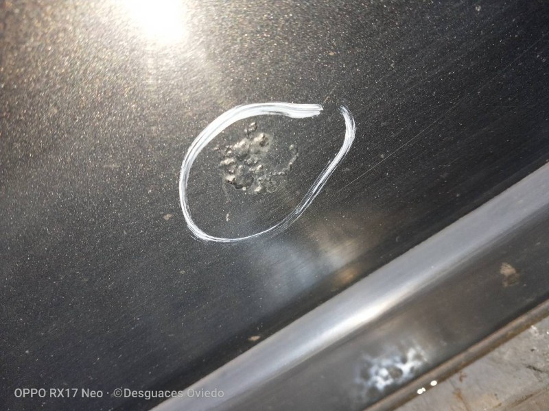 Recambio de puerta trasera izquierda para land rover range rover (lp) dse (100kw) referencia OEM IAM   5P