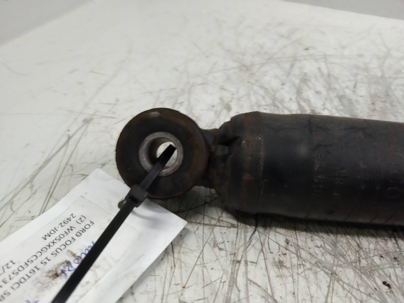 Recambio de amortiguador trasero para ford focus lim. 1.6 tdci cat referencia OEM IAM   