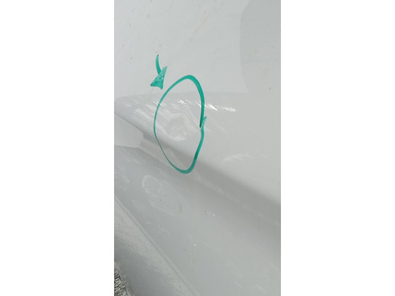 Recambio de puerta trasera izquierda para bmw serie 3 gran turismo (f34) 320d referencia OEM IAM   