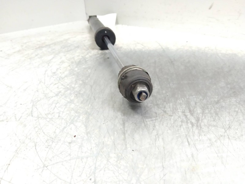 Recambio de amortiguador trasero para nissan micra (k13) 1.2 cat referencia OEM IAM   