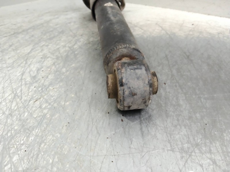 Recambio de amortiguador trasero para nissan murano (z50) 3.5 v6 cat referencia OEM IAM   