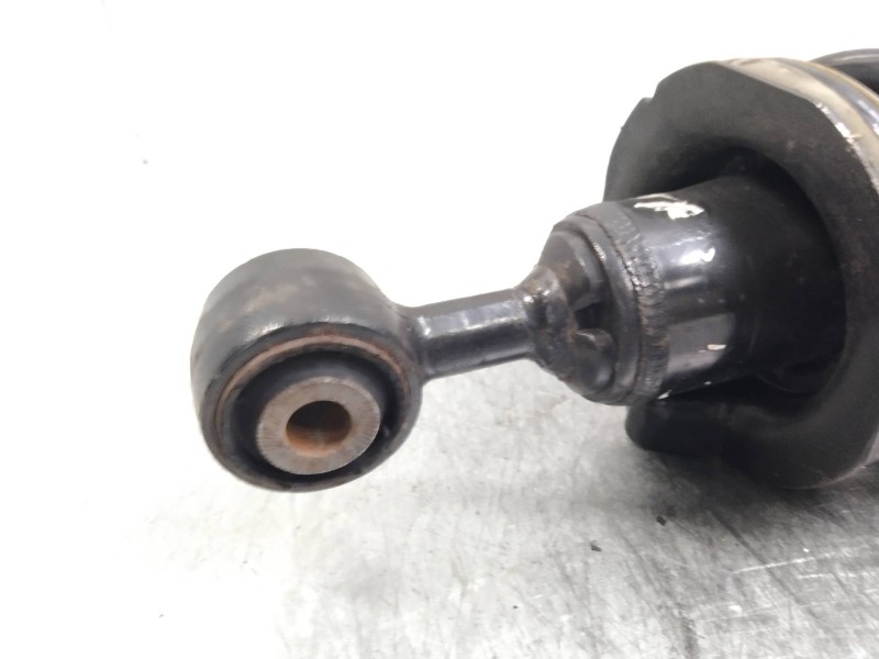 Recambio de amortiguador delantero para nissan pathfinder (r51) 2.5 dci xe referencia OEM IAM   