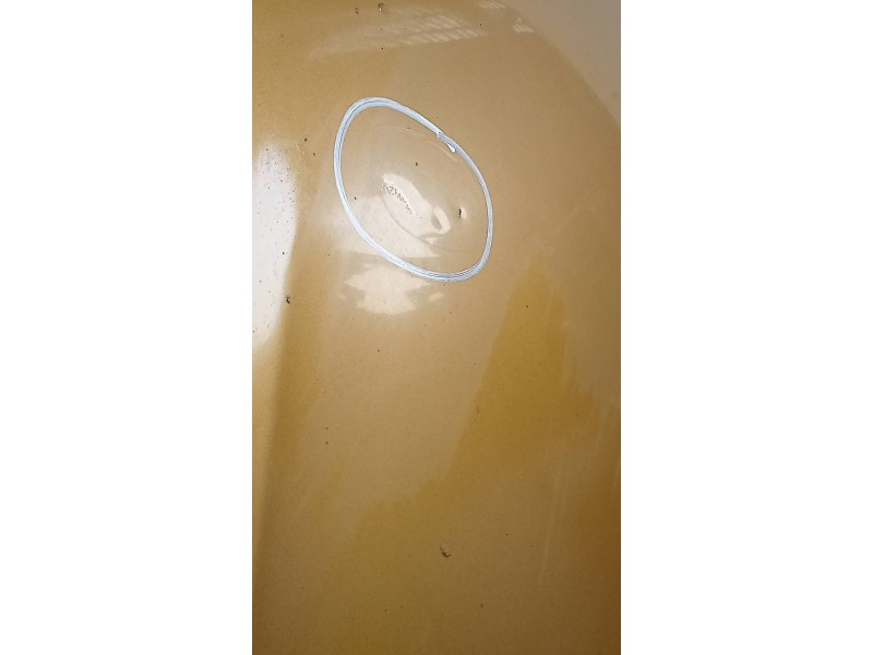 Recambio de capot para renault megane i scenic (ja0) 1.9 d alize referencia OEM IAM   