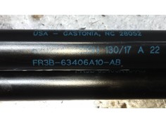 Recambio de amortiguadores maletero / porton para ford mustang basis referencia OEM IAM FR3B63406A10AB   2