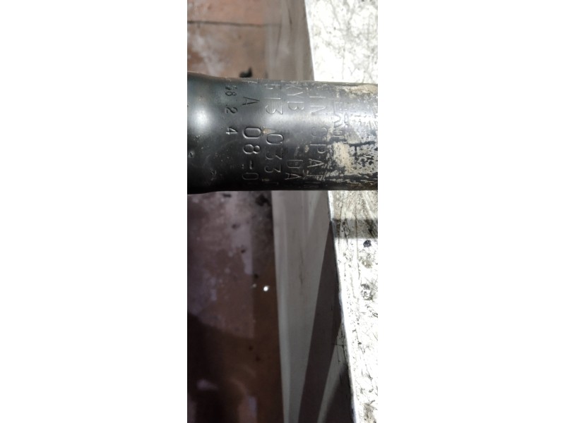 Recambio de amortiguador trasero para seat ibiza (6k1) select referencia OEM IAM 6K0513033D  