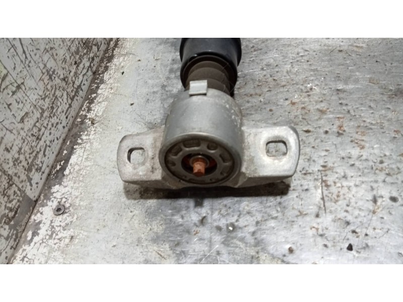 Recambio de amortiguador trasero izquierdo para citroen c4 lim. business referencia OEM IAM   