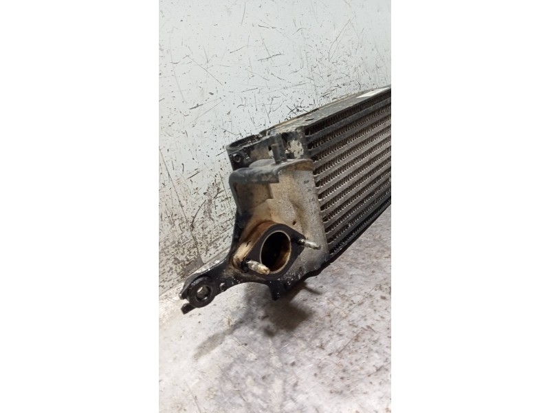 Recambio de intercooler para nissan x-trail (t31) 2.0 dci turbodiesel cat referencia OEM IAM 14461JG70B  