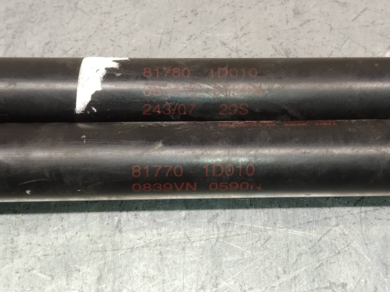 Recambio de amortiguadores maletero / porton para kia carens (un) emotion referencia OEM IAM 817701D010  590N