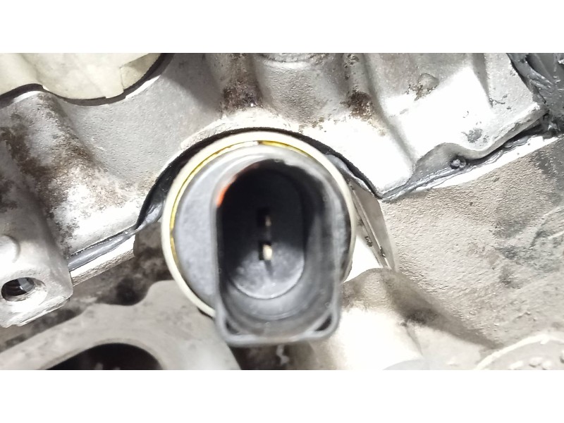 Recambio de culata para audi a6 avant (4f5) 2.4 quattro referencia OEM IAM BDW  