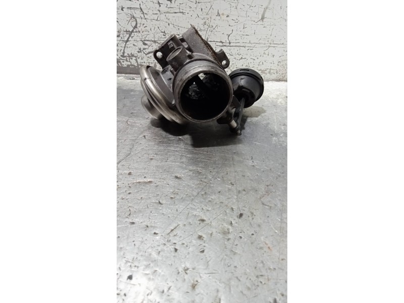 Recambio de valvula egr para seat leon (1m1) signo referencia OEM IAM 038129637  