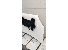 Recambio de capot para fiat doblo cargo (223) 1.3 jtd referencia OEM IAM    2