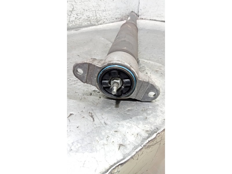 Recambio de amortiguador trasero derecho para ford focus lim. (cb8) sport referencia OEM IAM BV6118080BAF  