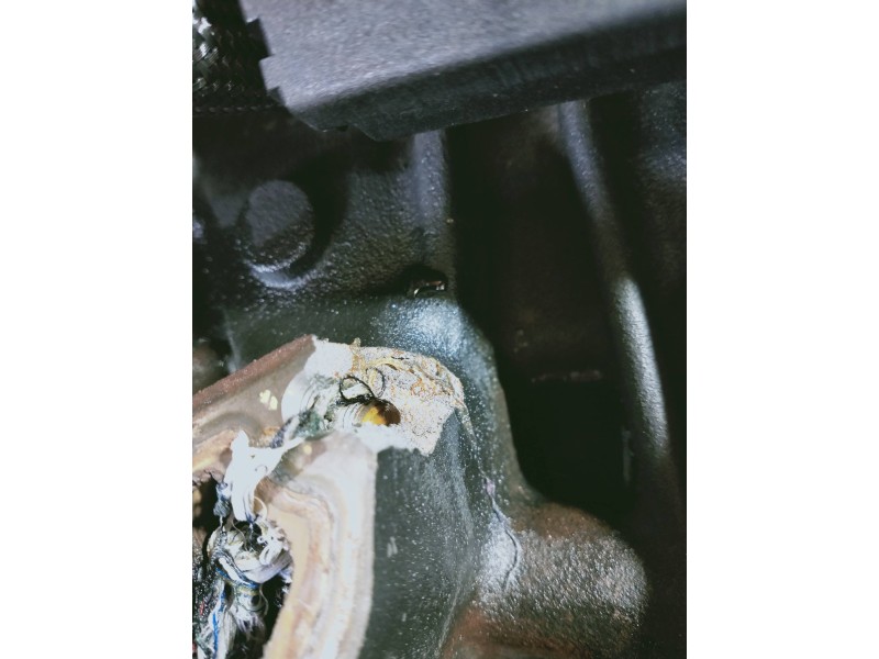 Recambio de motor completo para bmw serie 3 berlina (e90) 320d referencia OEM IAM 204D4 82986347 